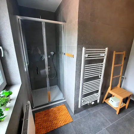 Apartman Pod Mamutem Dolni Morava Exterior photo